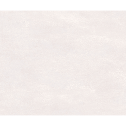 VANCOUVER 30X60 ICE THIN