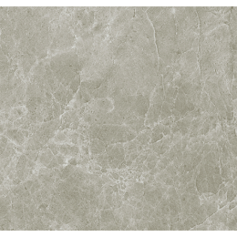 HYDRA 23.3X41 GREY