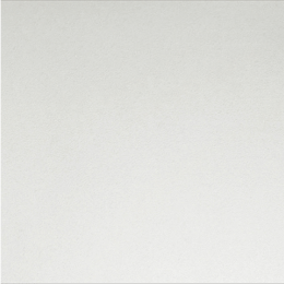 PARMA 60X60 BLANCO THINN