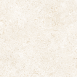 CORAL 60X60 REEF THINN