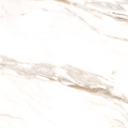PADUA 59X59 BRILLO THINR